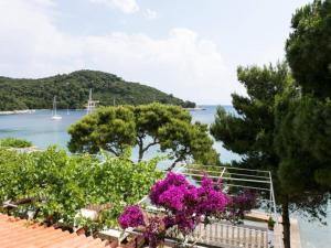 Apartmetns Franka Saplunara-One-Bedroom Apartment with Terrace and Sea View No2