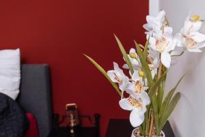 vivid & red - Netflix - City - Wifi - 4 Person