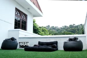 Tribe Hostel