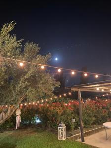 B&B Terre di Paestum