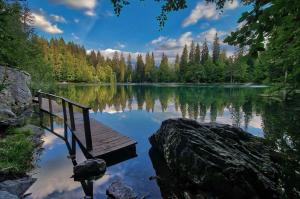 Chalets Fizhome Mt Blanc : photos des chambres