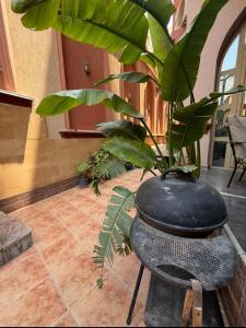 Spacious Stay in Prime Location