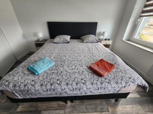 Maisons de vacances La Belle Poule, Vue port et mer, 4 personnes : photos des chambres