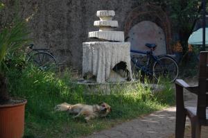 Bliss Inn Garden Retreat Private Rooms near City Center