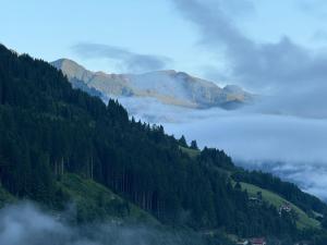 Penthousewohnung Gasteinblick