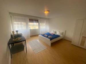 Downtown Flats, Lake Lucerne