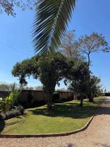 Moonlitview Apartments