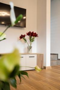 Lavender domek na Kaszubach - Przechlewo