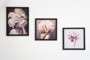 Lavender domek na Kaszubach - Przechlewo