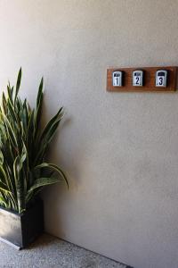 Comfortable Luxury Home