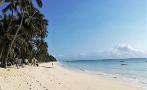 The Pearl of Zanzibar