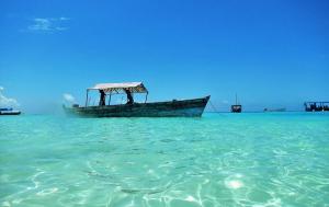 The Pearl of Zanzibar