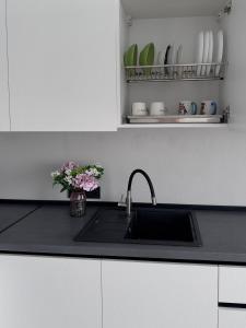 Апартаменты на Фонтане