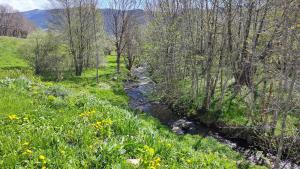 Appartements Pause nature a Formigueres Logement familial : photos des chambres