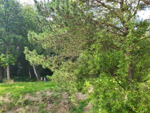 Ferienwohnung Am Sommerdeich