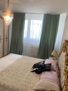 Slatina Cornisiei apartament central 2 camere și living