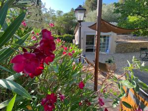 Maisons d'hotes Cabanon Tihou bain nordique privatif piscine havre de paix : photos des chambres