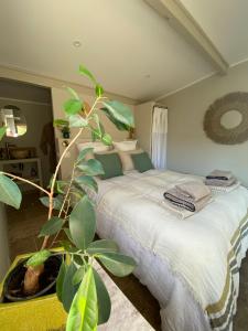 Maisons d'hotes Cabanon Tihou bain nordique privatif piscine havre de paix : photos des chambres