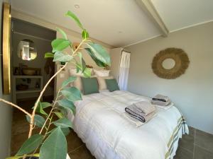 Maisons d'hotes Cabanon Tihou bain nordique privatif piscine havre de paix : photos des chambres