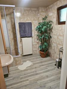 Ferienapartment Waldhaus