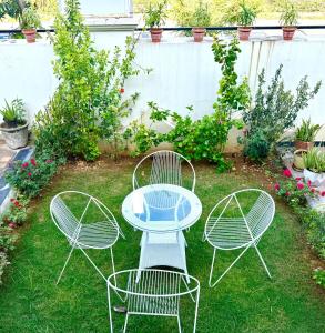 GAJAPATI by Modern Haven