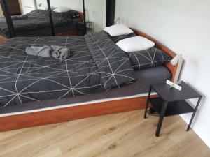 Apartament w Centrum