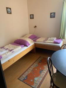 Penzion Vila Křenov