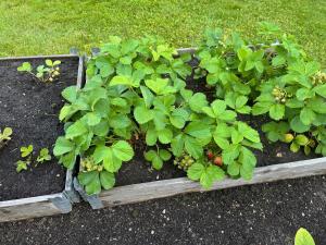 Bo komfortabelt i Bø, på ferie eller jobb