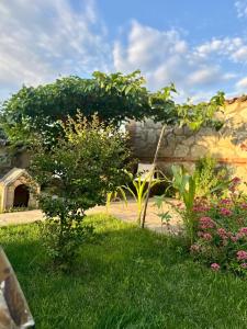 Boutique Hotel Talaveri In Telavi