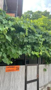 Guest House Riverside