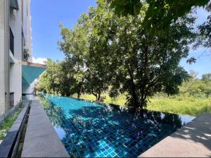 Studio in Boat Avenue