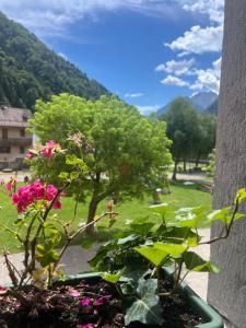 Appartamento il Riccio