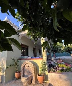 Pelion Malaki- Casa Verde