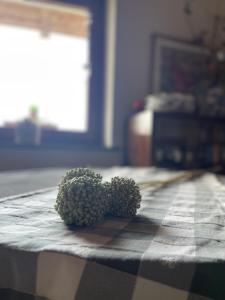 Agriturismo Il Tesoro di MiRo