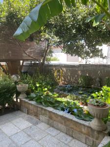 La casa di Mannazzotta 1 img55