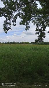 Villas Maison en pleine nature entre Roanne et Charlieu : photos des chambres