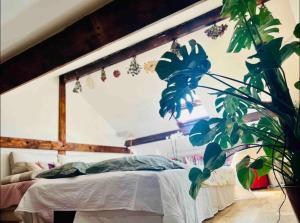 2 bedrooms greatly located