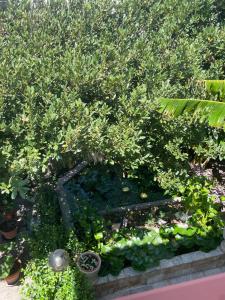 La casa di Mannazzotta 1 img60