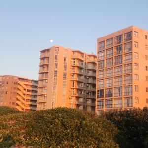 403 Dromedaris On the Beach