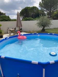 Villas La Petite Bastide en Provence : photos des chambres
