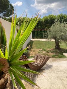 Villas La Petite Bastide en Provence : photos des chambres