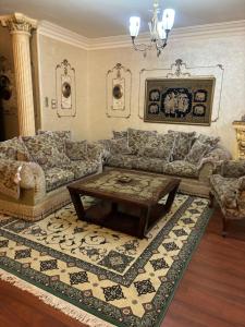 luxurious classic spacious apartment in nasr city