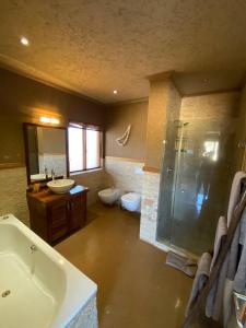 Zebula - African Dream A - Pax 8