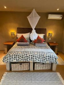 Zebula - African Dream A - Pax 8