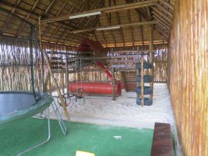 Zebula - African Dream A - Pax 8