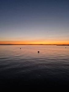 Parti Villa Apartman