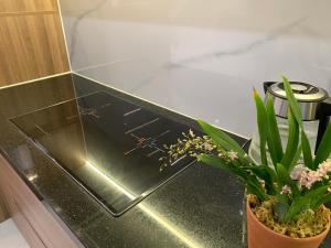 Blue in the middle of the ancient capital