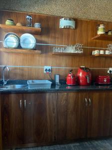 Zebula - African Dream B - Pax 6