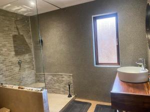 Zebula - African Dream B - Pax 6