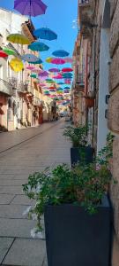 Domos La Corte Ghibellina img6